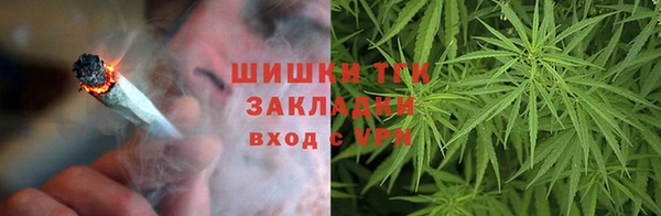 ПСИЛОЦИБИНОВЫЕ ГРИБЫ Абаза