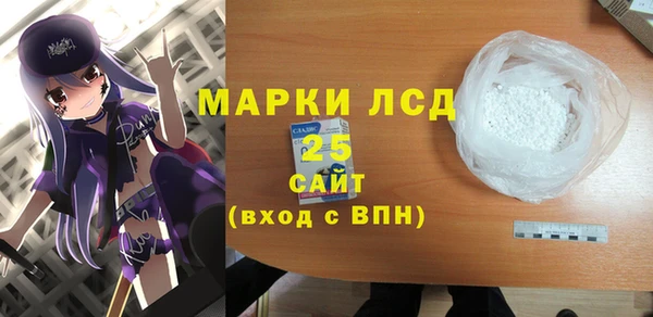 ПСИЛОЦИБИНОВЫЕ ГРИБЫ Абаза