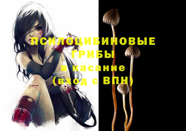 ПСИЛОЦИБИНОВЫЕ ГРИБЫ Абаза